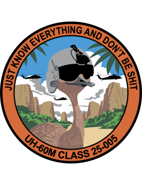 Image for 1-145 Aviation Regiment UH-60M Class 25-005 Patch
