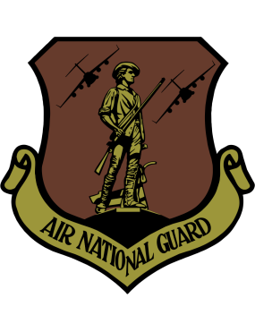 Image for 204 AS ANG C-17 OCP Patch PVC