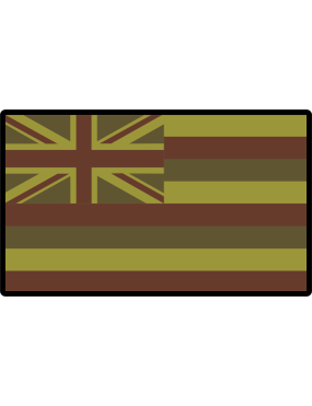 Image for 204 AS Hawaiian Flag OCP Patch PVC