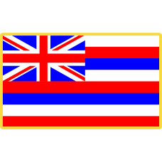 Image for 204 AS Hawaiian Flag Full Color Patch PVC