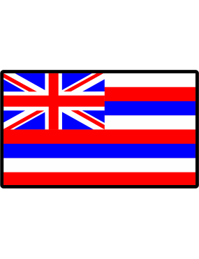 Image for 204 AS Hawaiian Flag Full Color Patch PVC