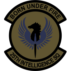 Image for 25 IS Subdued Patch