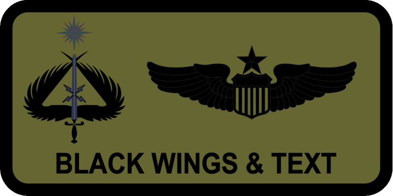 370 SOCTS Wing/Sword Name Tag