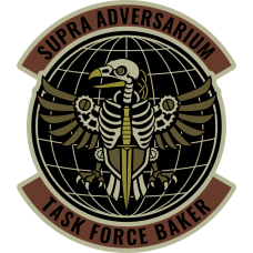 Image for Task Force Baker Skeletal Bird Patch