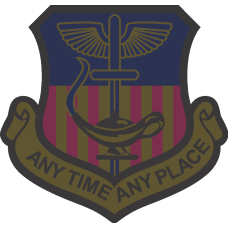 Image for 1 SOW Subdued Patch