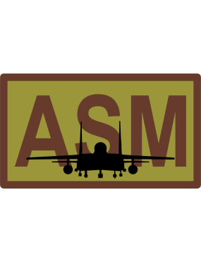Image for 4 EMS ASM F-15E Duty Job OCP Patch