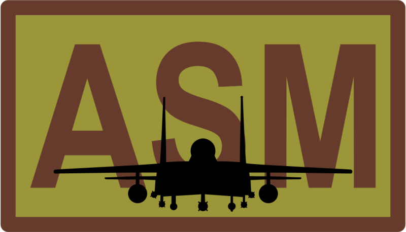 4 EMS ASM F-15E Duty Job OCP Patch