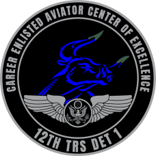 Image for 12 TRS Det 1 COE Full Color Patch