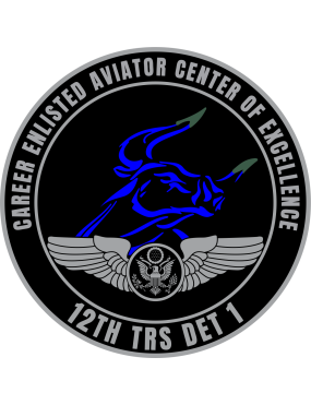 Image for 12 TRS Det 1 COE Full Color Patch