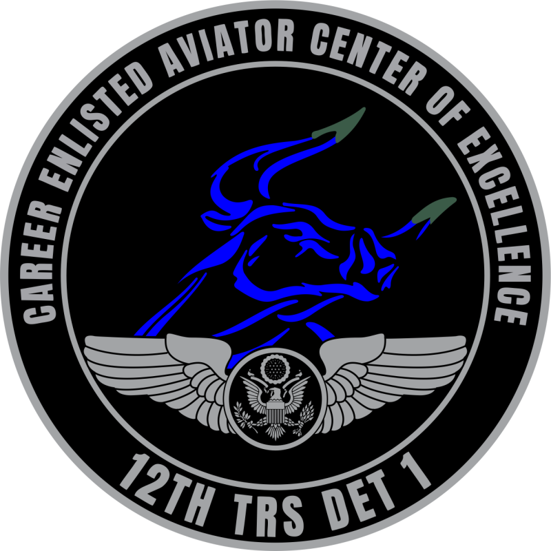 12 TRS Det 1 COE Full Color Patch