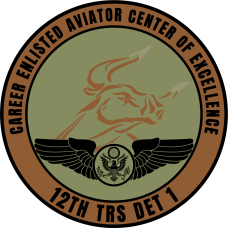 Image for 12 TRS Det 1 COE Subdued Patch