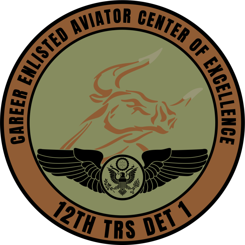 12 TRS Det 1 COE Subdued Patch