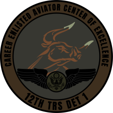 Image for 12 TRS Det 1 COE Subdued Patch