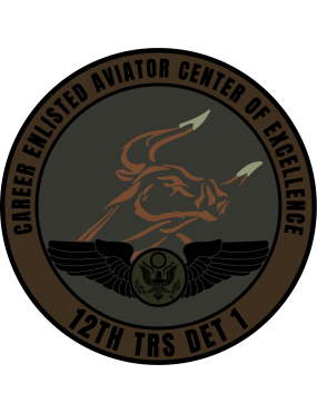 Image for 12 TRS Det 1 COE Subdued Patch