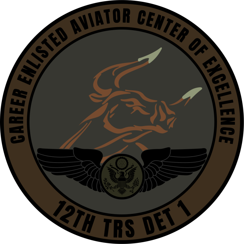 12 TRS Det 1 COE Subdued Patch