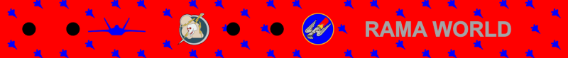 71 FS Bag Tag, Langley AFB