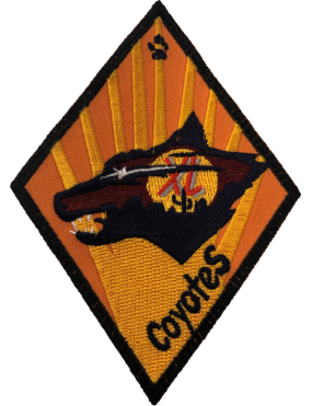 Image for 85 FTS Coyotes Patch