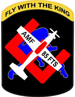 Image for 85 FTS Fly With The King Patch