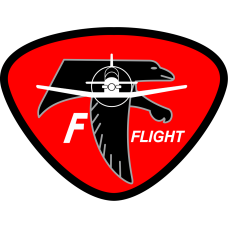 Image for 85 FTS F Flight Stylized Eagle Patch