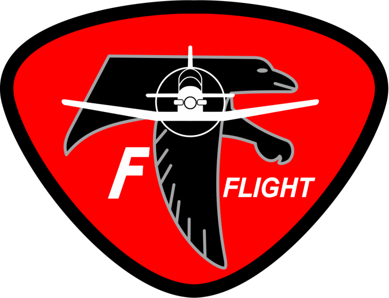 85 FTS F Flight Stylized Eagle Patch