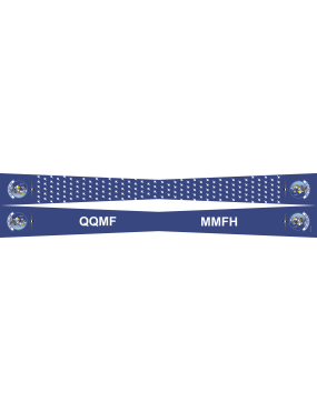 Image for 309 FS Flight Scarf, Luke AFB