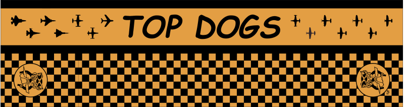 61 FS Flight Scarf, Luke AFB