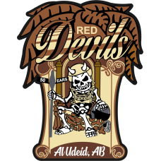 Image for 50 EARS Desert Al Udeid PVC Patch