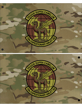 Image for 729 EAS OCP Double-Sided Flag 3