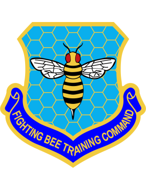 Image for 492 ATKS Fighting Bee Training Command Patch