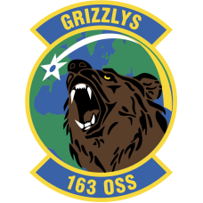 Image for 163 OSS Full Color Patch 3"