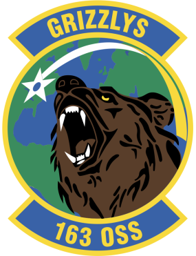 Image for 163 OSS Full Color Patch 3"