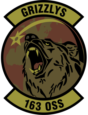Image for 163 OSS OCP Patch 3"
