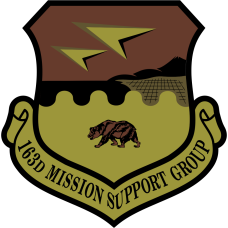 Image for 163 MSG Mission Support Group OCP Patch