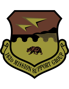 Image for 163 MSG Mission Support Group OCP Patch