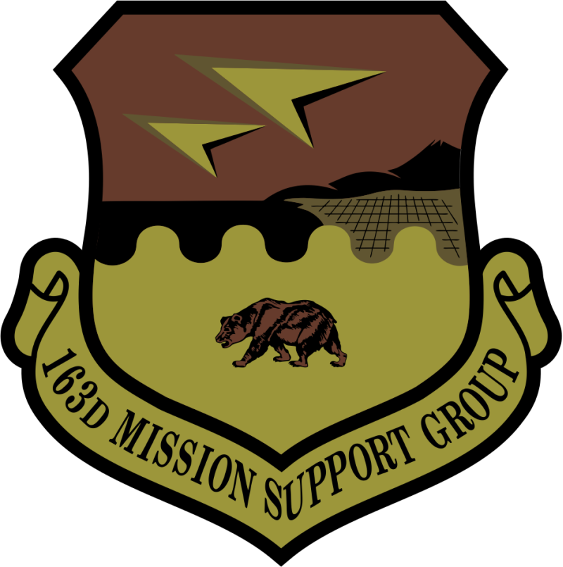 163 MSG Mission Support Group OCP Patch