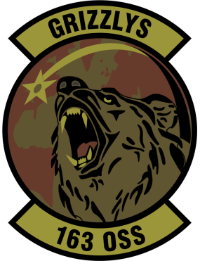 Image for 163 OSS Grizzlys OCP Patch 3"