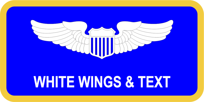 42 ABW Name Tag 