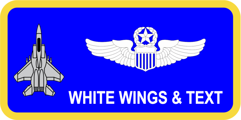 Air War College Gray F-15E Friday Name Tag 