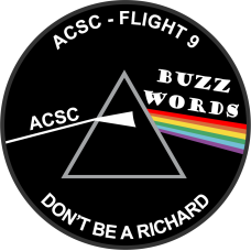 Image for ACSC Flight 9 Buzz Words Patch