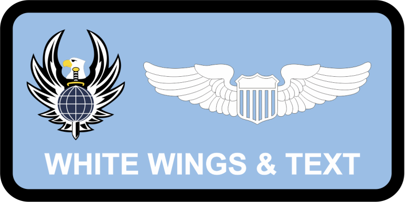 22 TRS Eagle Name Tag 