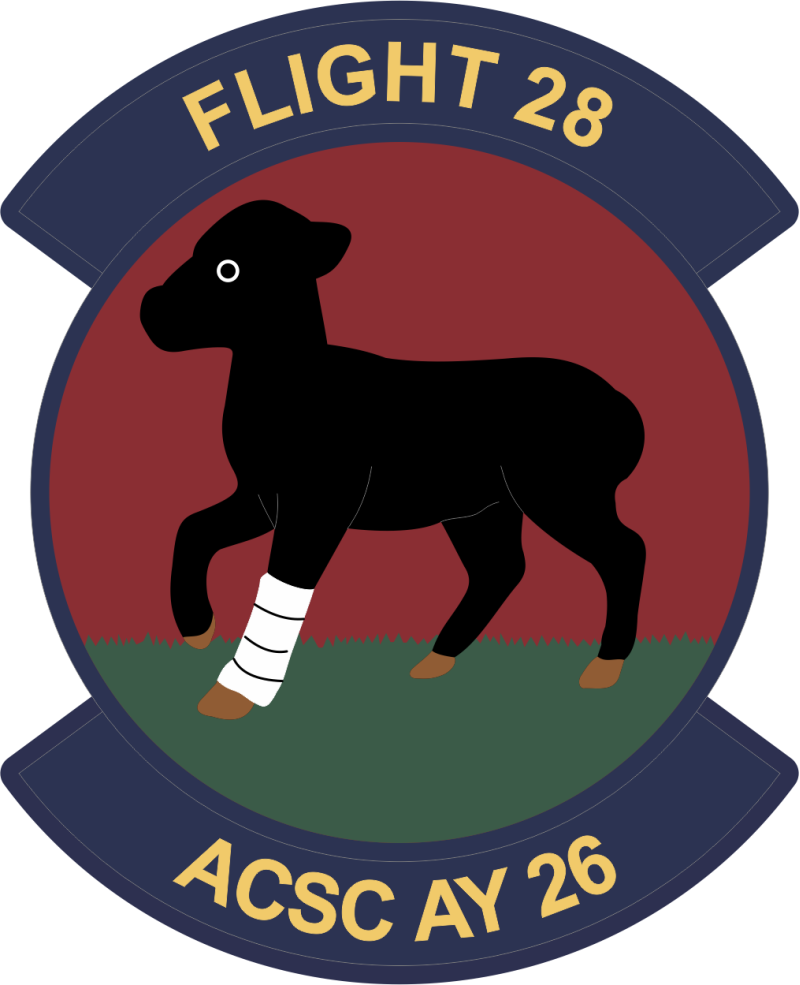 ACSC AY 26 Flight 28 Full Color Patch