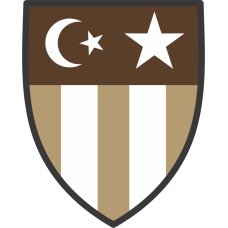 Image for 817 EAS Desert Patch