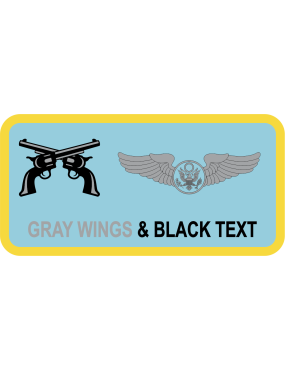 Image for 349 ARS Guns Logo Name Tag