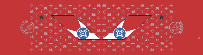 924 ARS Flight Scarf, McConnell AFB