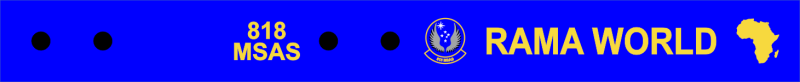 818 MSAS Bag Tag, McGuire AFB