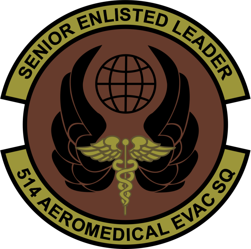 514 AES Senior Enlisted Leader OCP Patch
