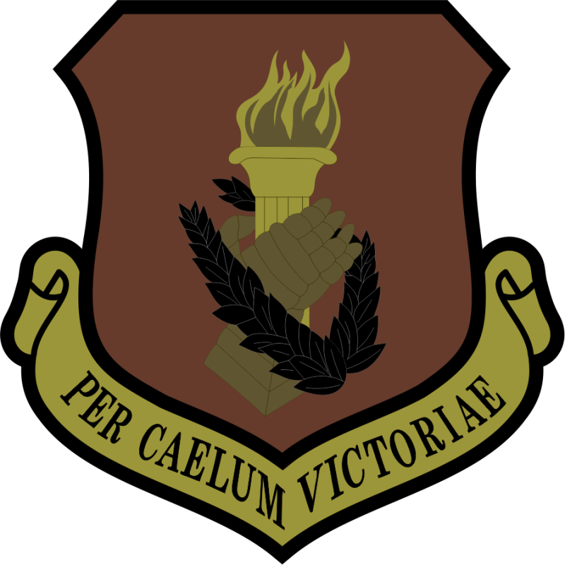 108 Wing NJ ANG Per Caelum Victoriae OCP Patch