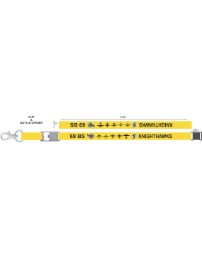 Image for 69 BS Lanyard