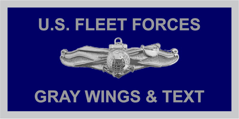 US Fleet Forces Command Navy Name Tag