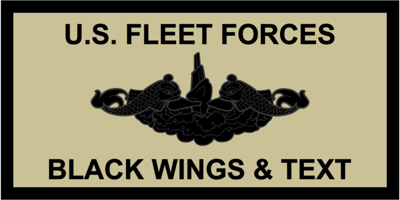 US Fleet Forces Command Khaki Name Tag